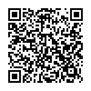 QR Code - Contact AI Super